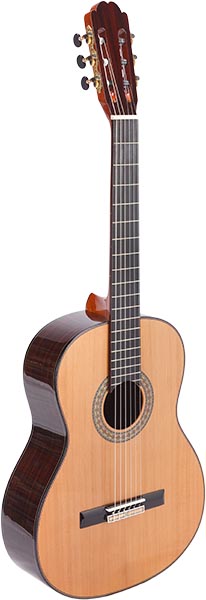 LCS-101 violão phx