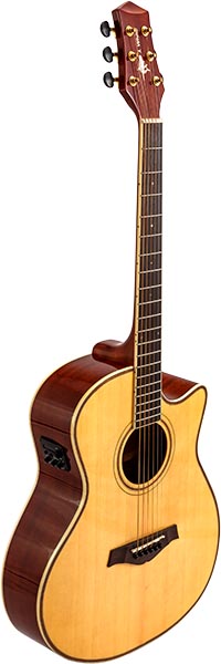 AH-GC100NA violão phx